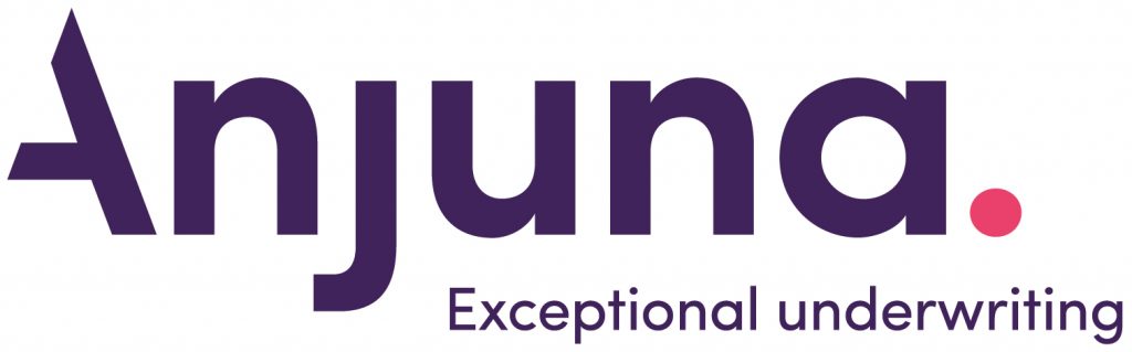 Anjuna Logo